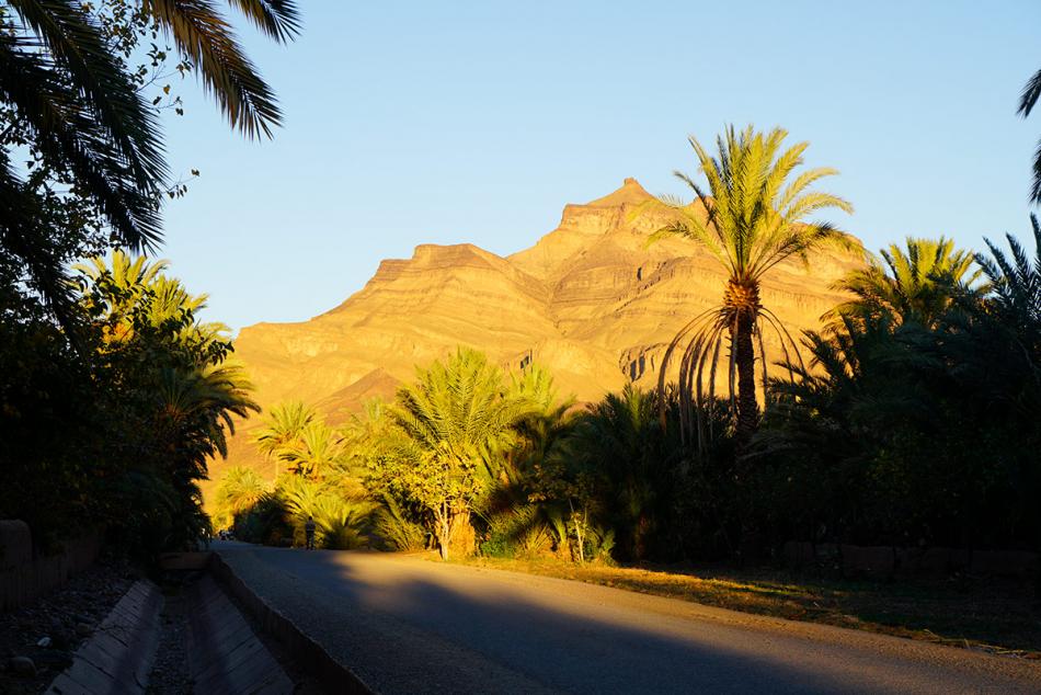 Excursion Morocan Desert Depart Ouarzazate