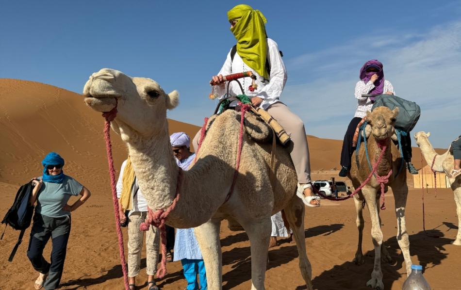 Excursion départ Ouarzazate vers le désert pour un balade en dromadaire