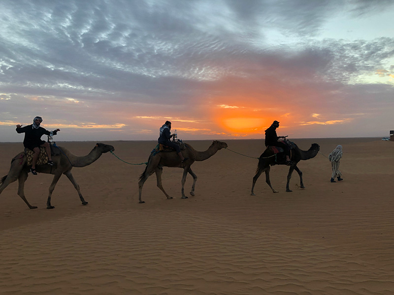 Balade en Dromadaire dans le Désert Marocain