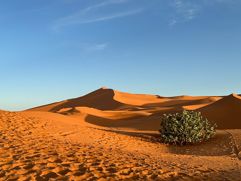 Excursion departs from Ouarzazate for visiting Merzouga Desert